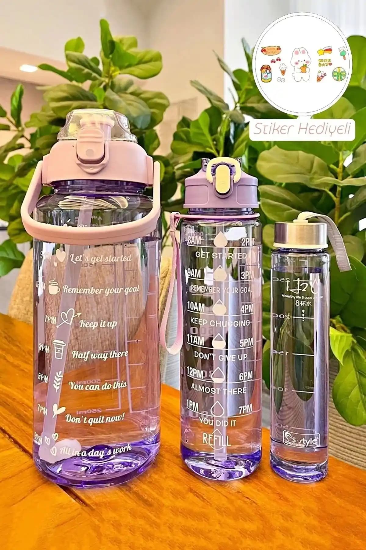 Berdina Home 3'lü Şeffaf Renkli Pipetli Spor Şişesi ve Taşınabilir Su Kabı