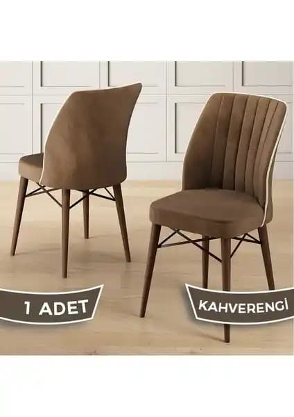 Canisa Nuna ve Lumodi Elma Modeli Sandalyelerin Detaylı Karşılaştırması