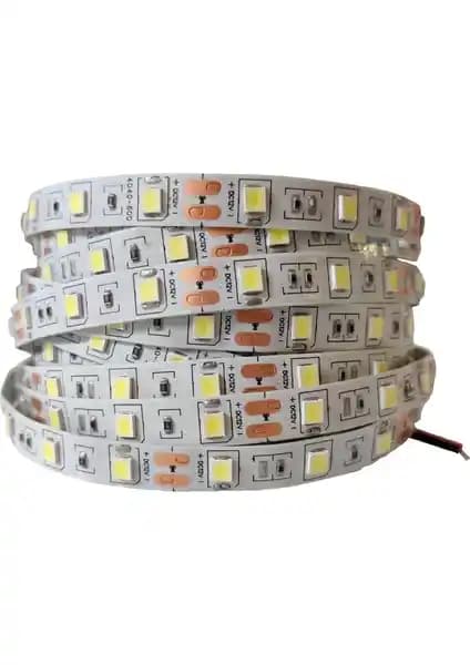 LED Şerit Karşılaştırması: Günışığı ve İç Mekan Modellerinin Özellikleri ve Kullanım Alanları