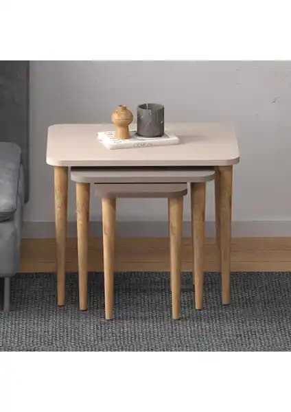 Monte Sehpa Letto Zigon Sehpa Modelleri Karşılaştırması ve Kullanıcı Yorumları Analizi