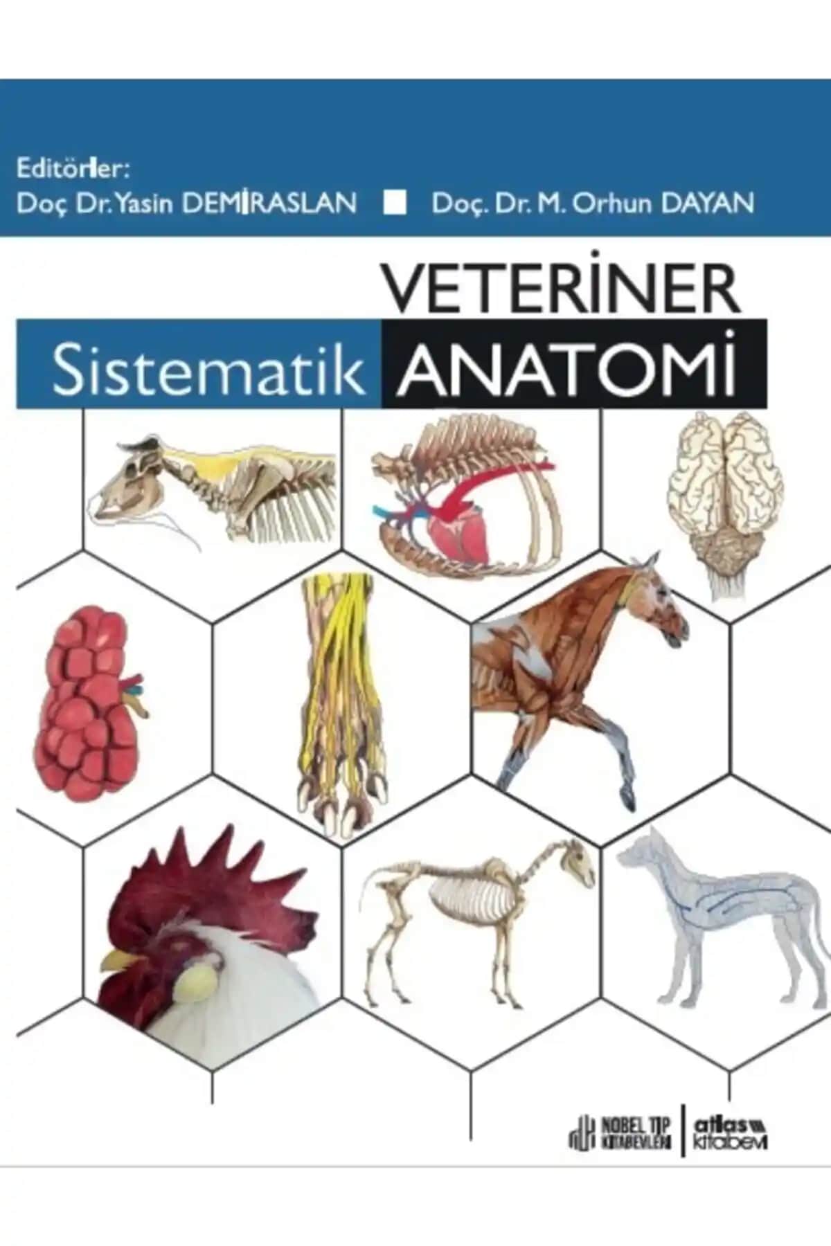 Veteriner Sistematik Anatomi Kitabı: Klinik ve Akademik Çalışmalar İçin Güçlü Bir Kaynak