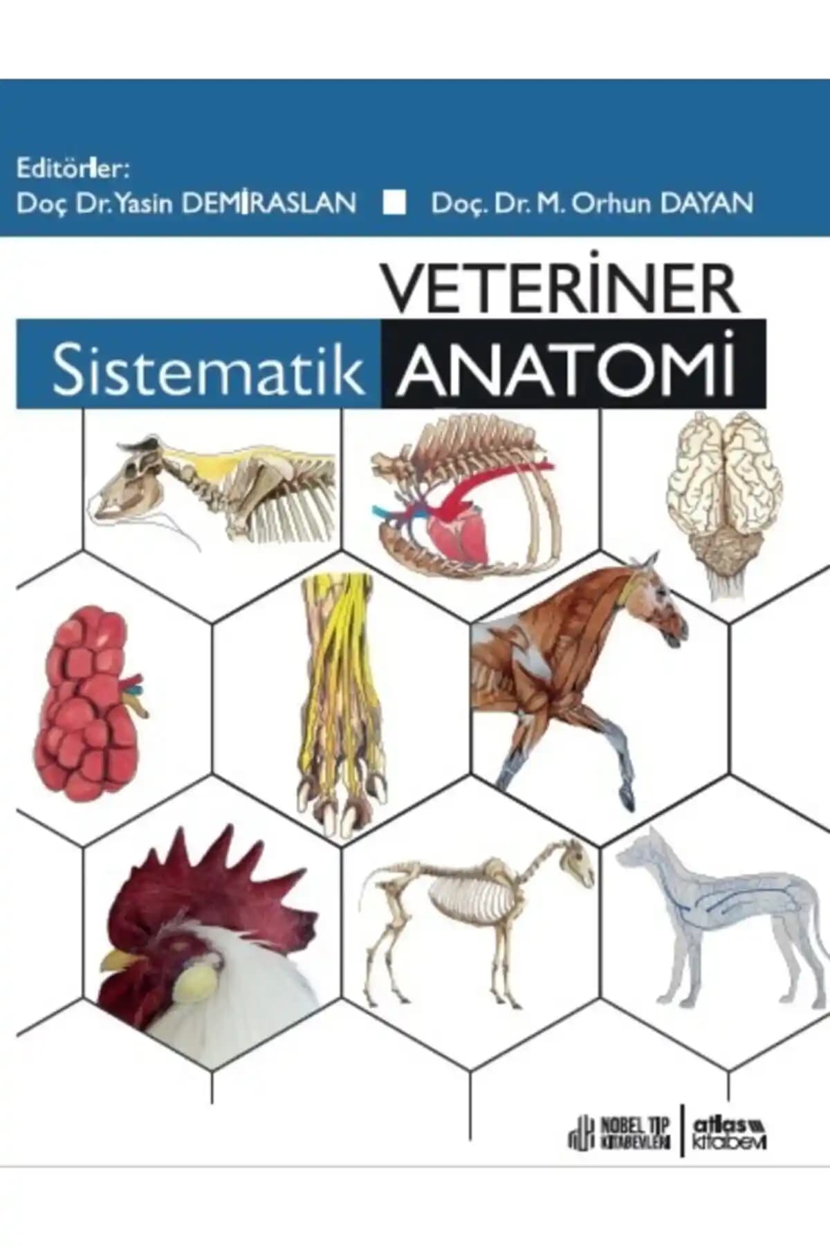 Veteriner Sistematik Anatomi Kitabı: Klinik ve Akademik Çalışmalar İçin Güçlü Bir Kaynak