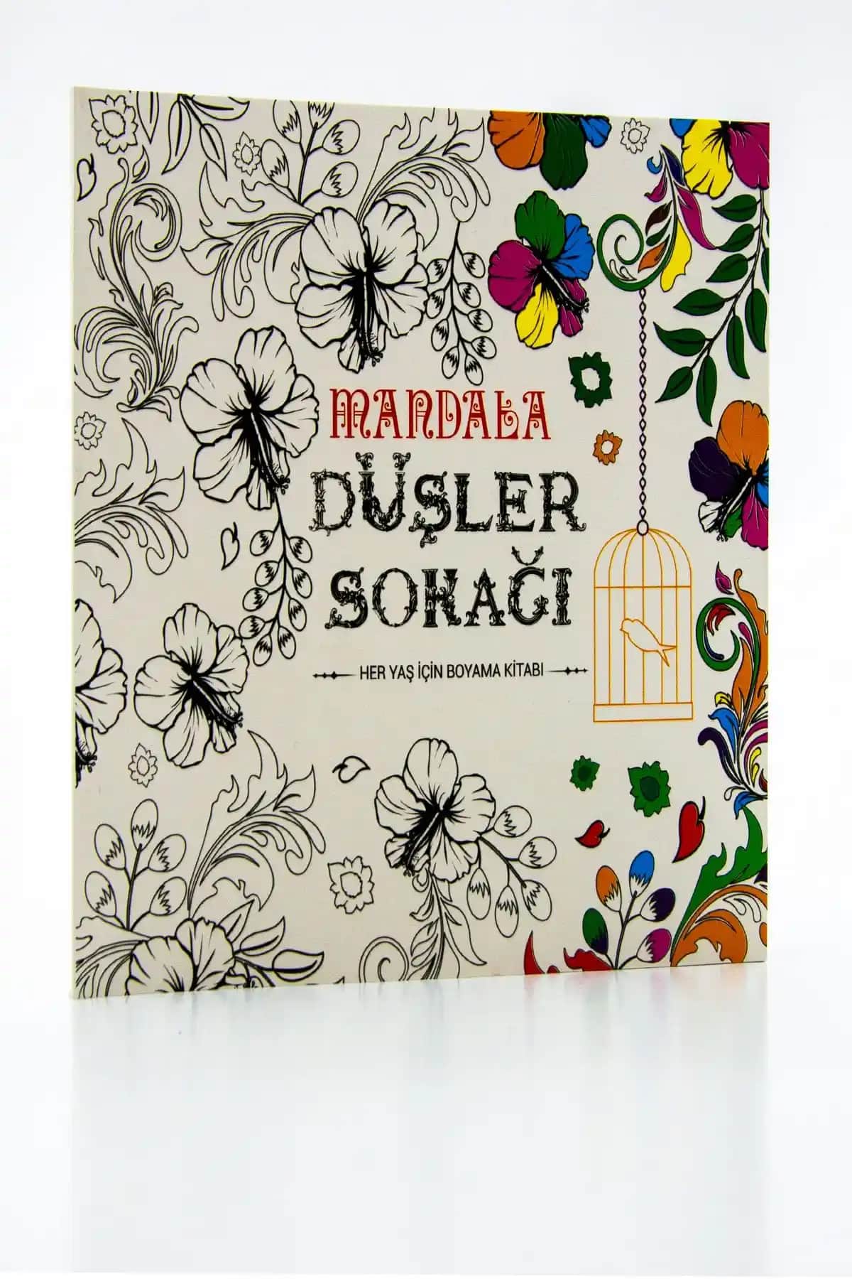 Yetişkinler İçin Mandala Düşler Sokağı Boyama Kitabı: Yaratıcılığı ve Rahatlamayı Destekleyen Büyük Boyutlu Tasarım