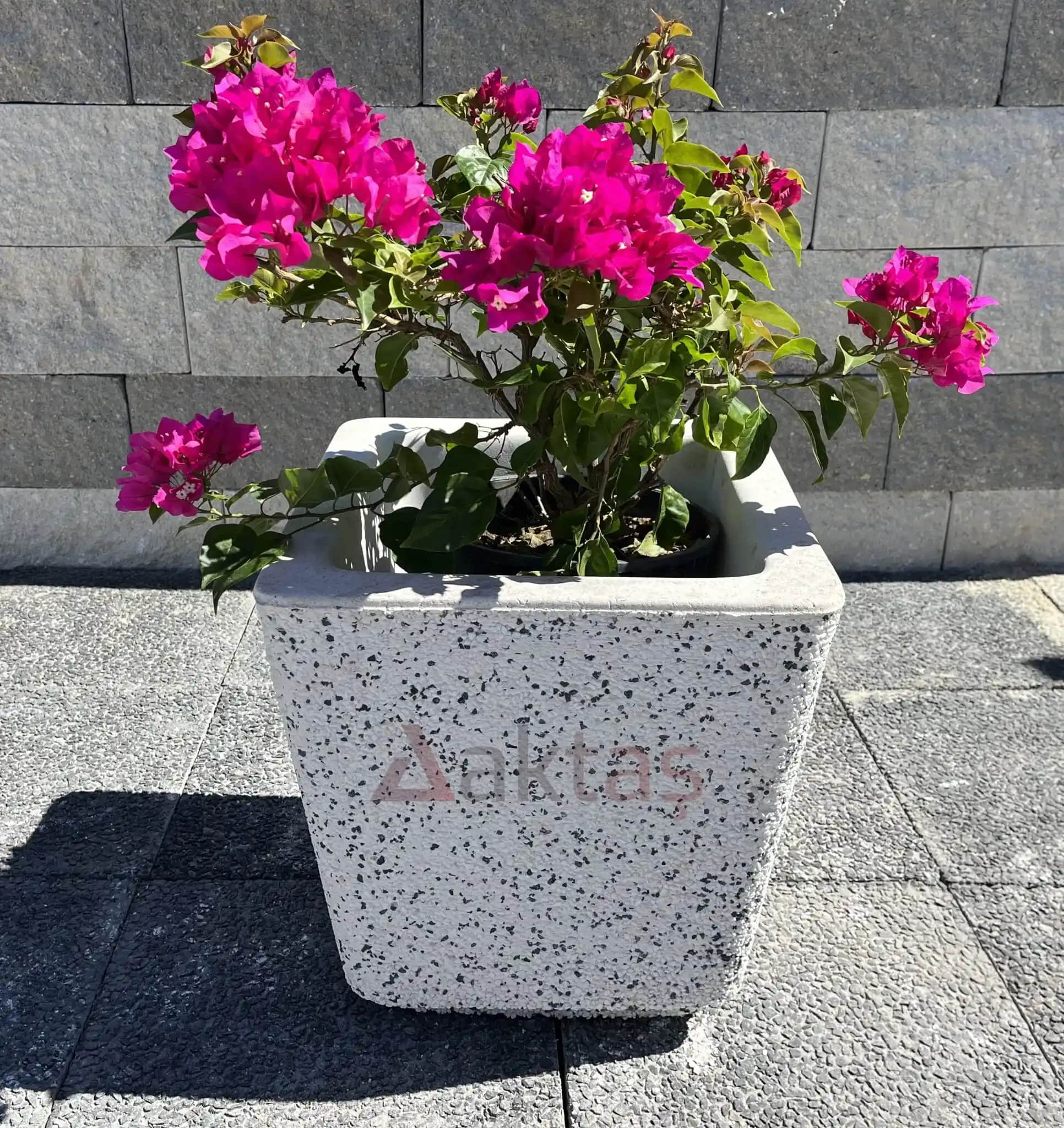 Beton Saksı Dekorasyonunda Modern ve Şık Çözümlerle Tarzınızı Yansıtın