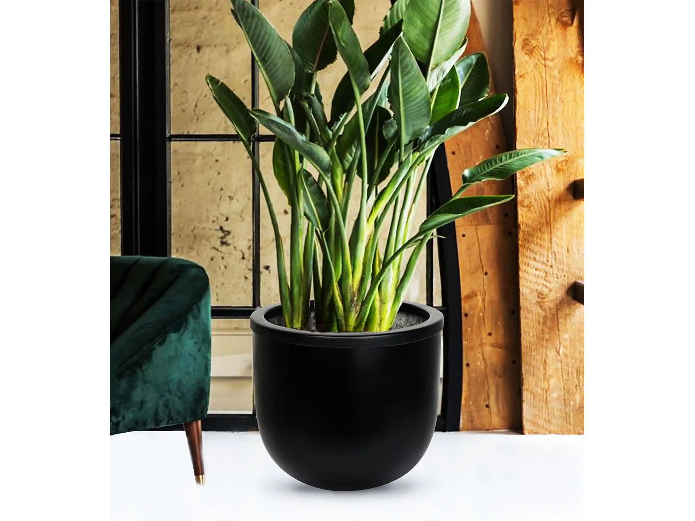 Büyük Siyah Saksılar ile Modern Dekorasyonda Şıklık ve İşlevsellik