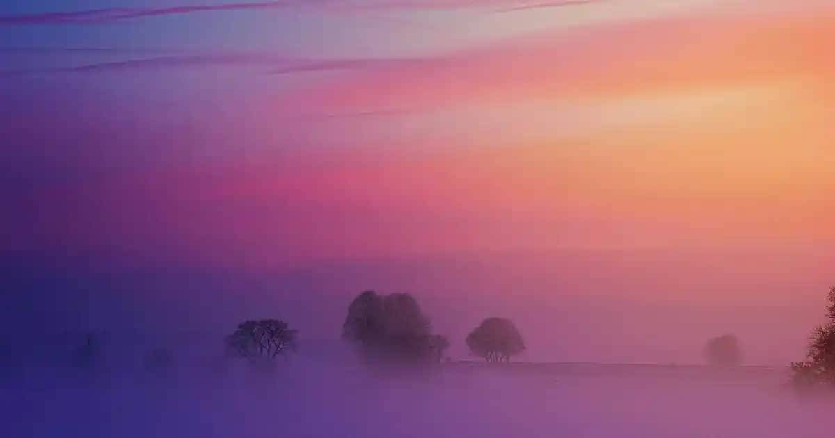 Dekorasyon ve Mobilya Hediye Seçenekleriyle Evinizi Güzelleştirin