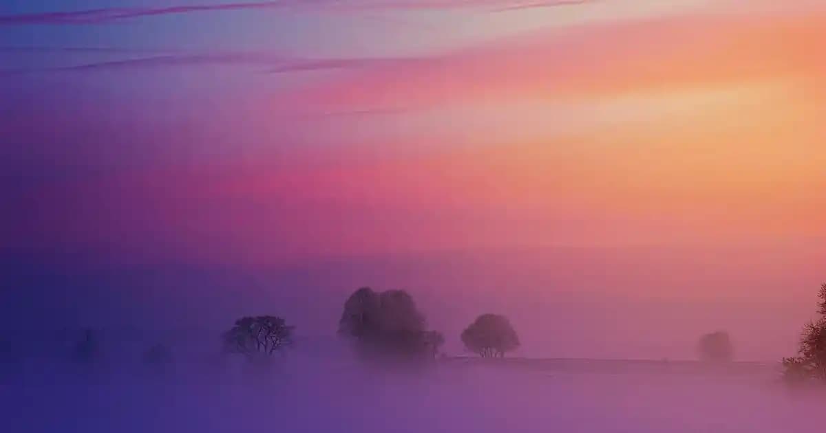 Dekorasyon ve Mobilya Hediye Seçenekleriyle Evinizi Güzelleştirin