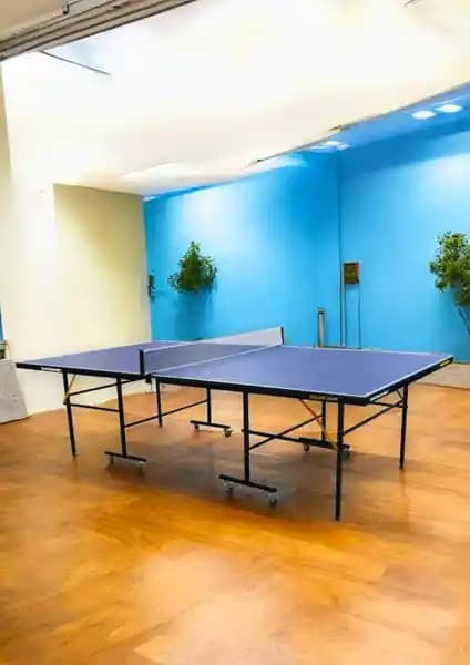 Dynamic Delux Lite İç Mekan Masa Tenisi Masası Modern Tasarım ve Uzun Ömürlü Kullanım İmkanıyla