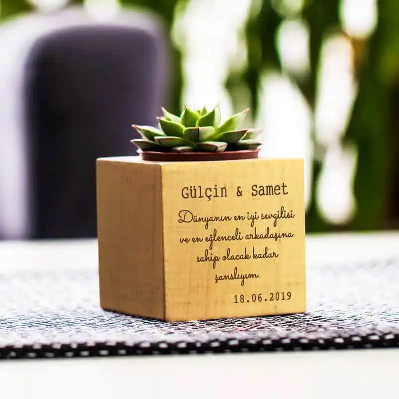 Hediyelik Sukulentler ve Dekorasyonda Doğallığın Şıklıkla Buluşması