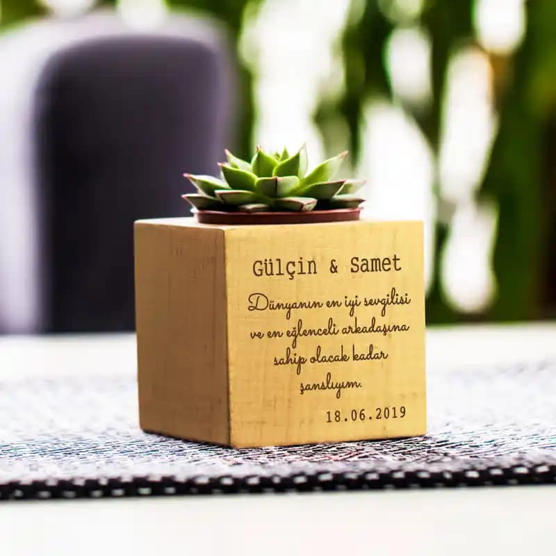 Hediyelik Sukulentler ve Dekorasyonda Doğallığın Şıklıkla Buluşması