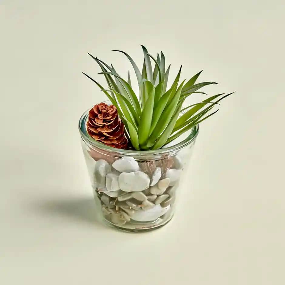 İç Mekânlar İçin Şık ve Pratik Teraryum Saksı Dekorasyon Fikirleri