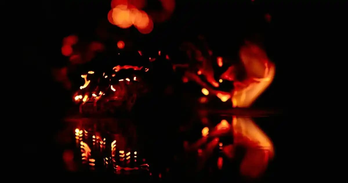 Kuru Kupa Noktaları ile Dekorasyonda Yenilikçi ve Sağlıklı Dokunuşlar