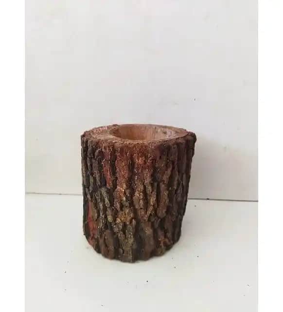 Kütük Saksı Dekorasyon Trendleri ve Doğal Malzemelerle Sıcak Atmosfer Yaratma