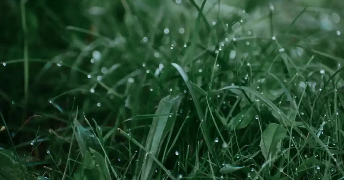 NeoStill ile Modern ve Fonksiyonel Mobilya ve Dekorasyon Çözümleri Rehberi