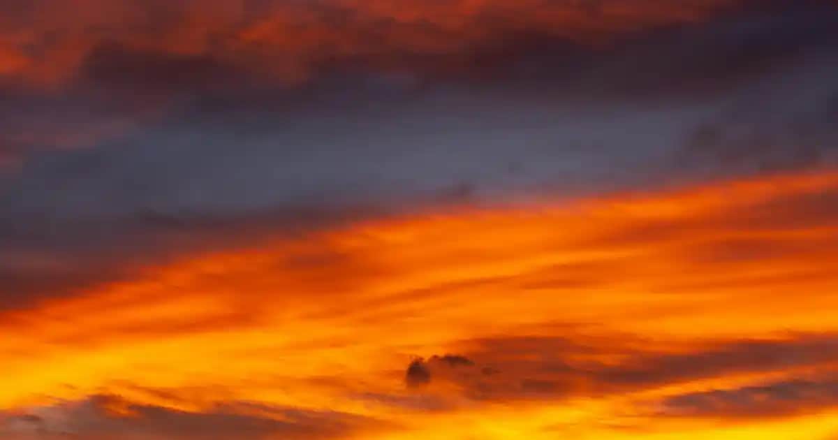 Plastik Kek Fanusu ile Dekorasyonda Yenilikçi ve Pratik Çözümler Sunan Ürünler