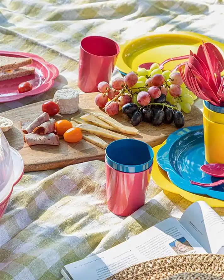 Plastik Piknik Setleri Dekorasyon ve Mobilya Dünyasında Şıklık ve Pratiklik Sunar