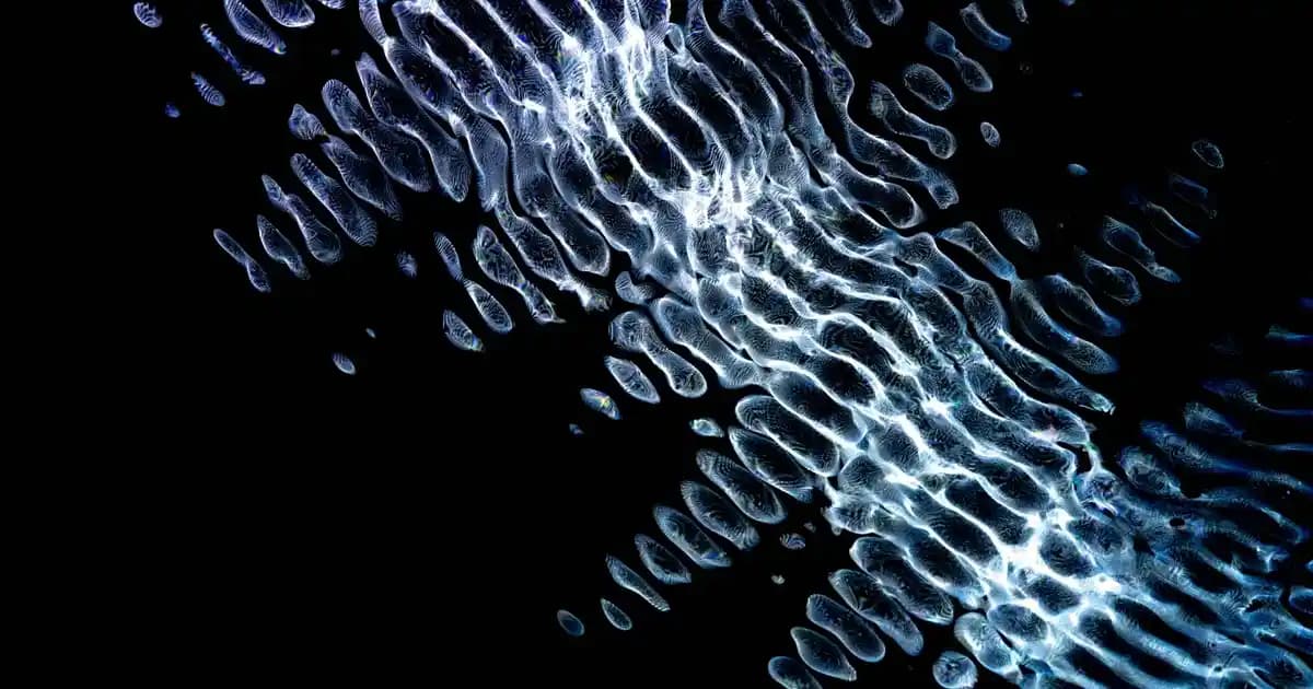 Plastik Saklama Kabı Setleri: Modern ve Pratik Mutfak Çözüm Yöntemleri