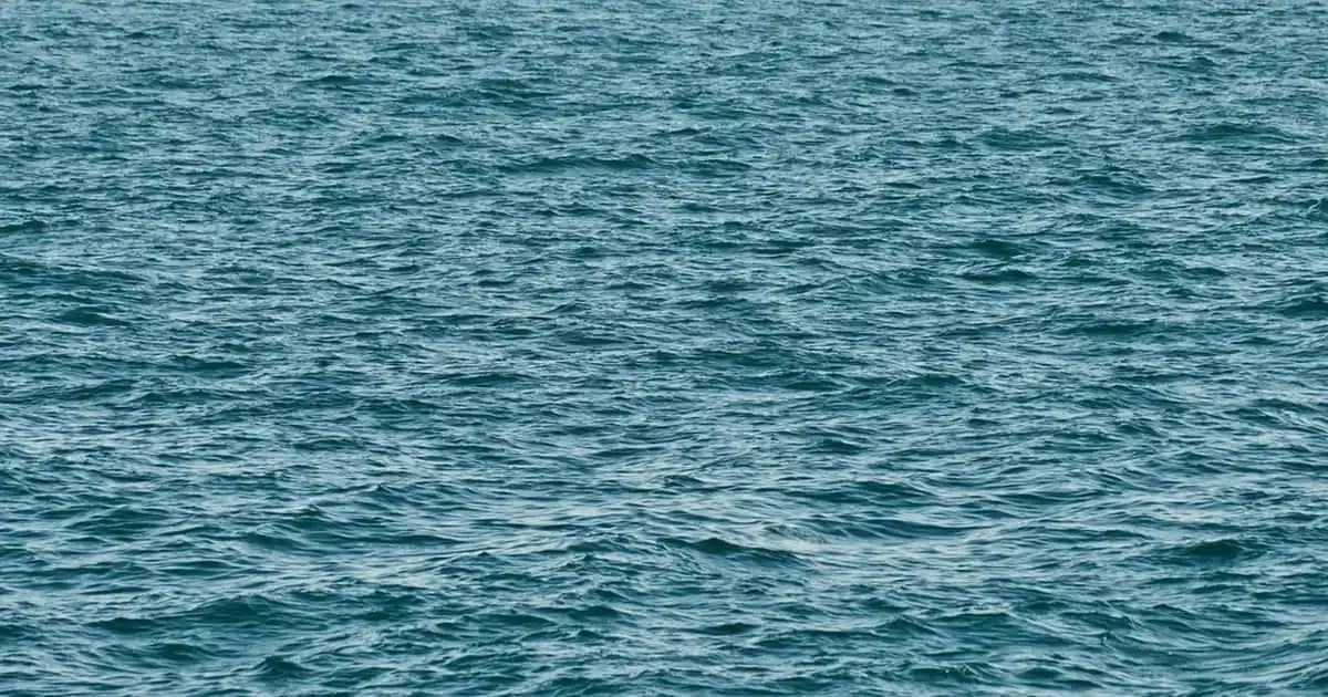 Porselen Pasta Takımları: Şıklık ve Zarafetin En Güçlü Simgesi