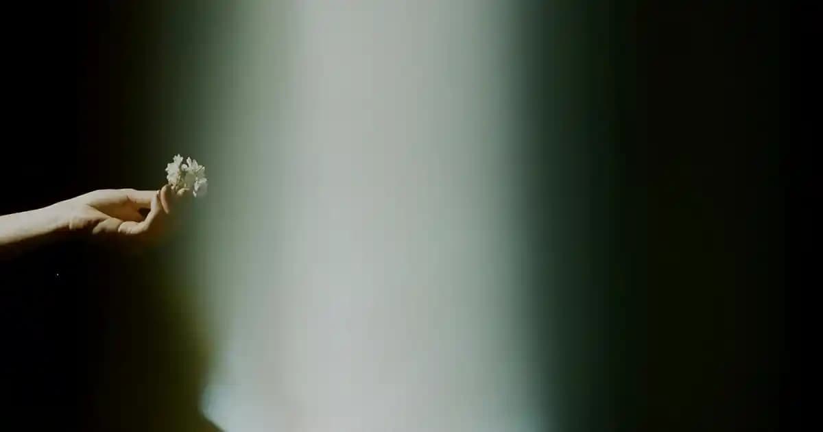 Punch Kırlent Kılıfı ile Dekorasyonunuza Şıklık ve Konfor Katmanın Yolları