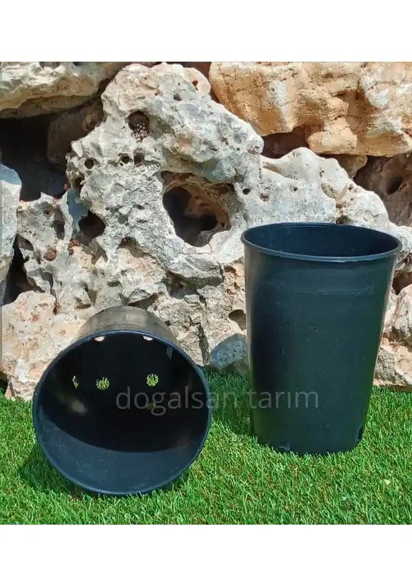 Saksı Fiyatları ve Çeşitleri: Dekorasyonda Uygun Seçenekler ve Trendler