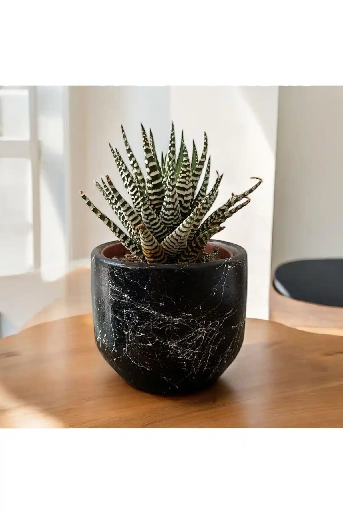 Saksı Kabı: Estetik ve Fonksiyonellik ile Dekorasyonda Modern Çözümler