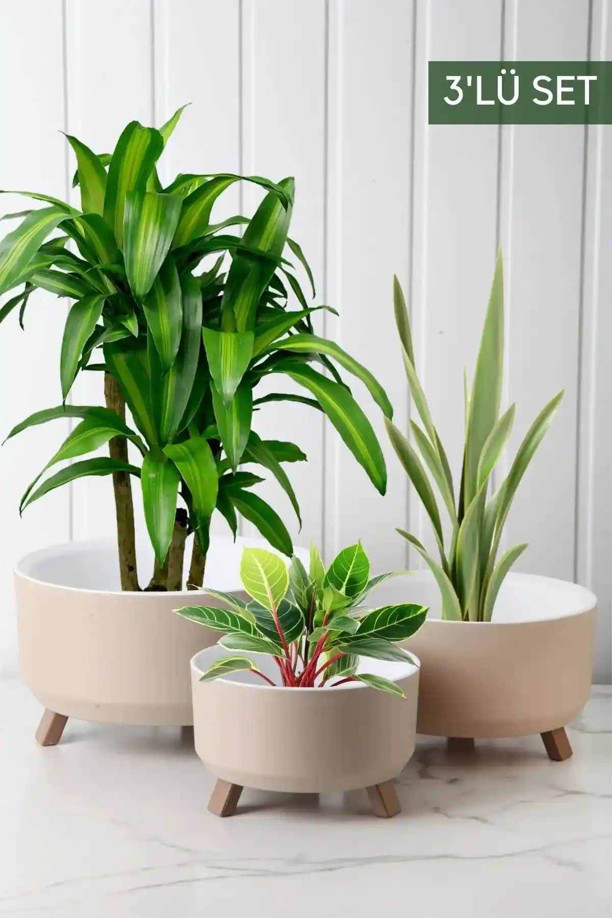 Saksı Setleri ile Dekorasyon ve Mobilya Uyumunu Sağlayan Yöntemler