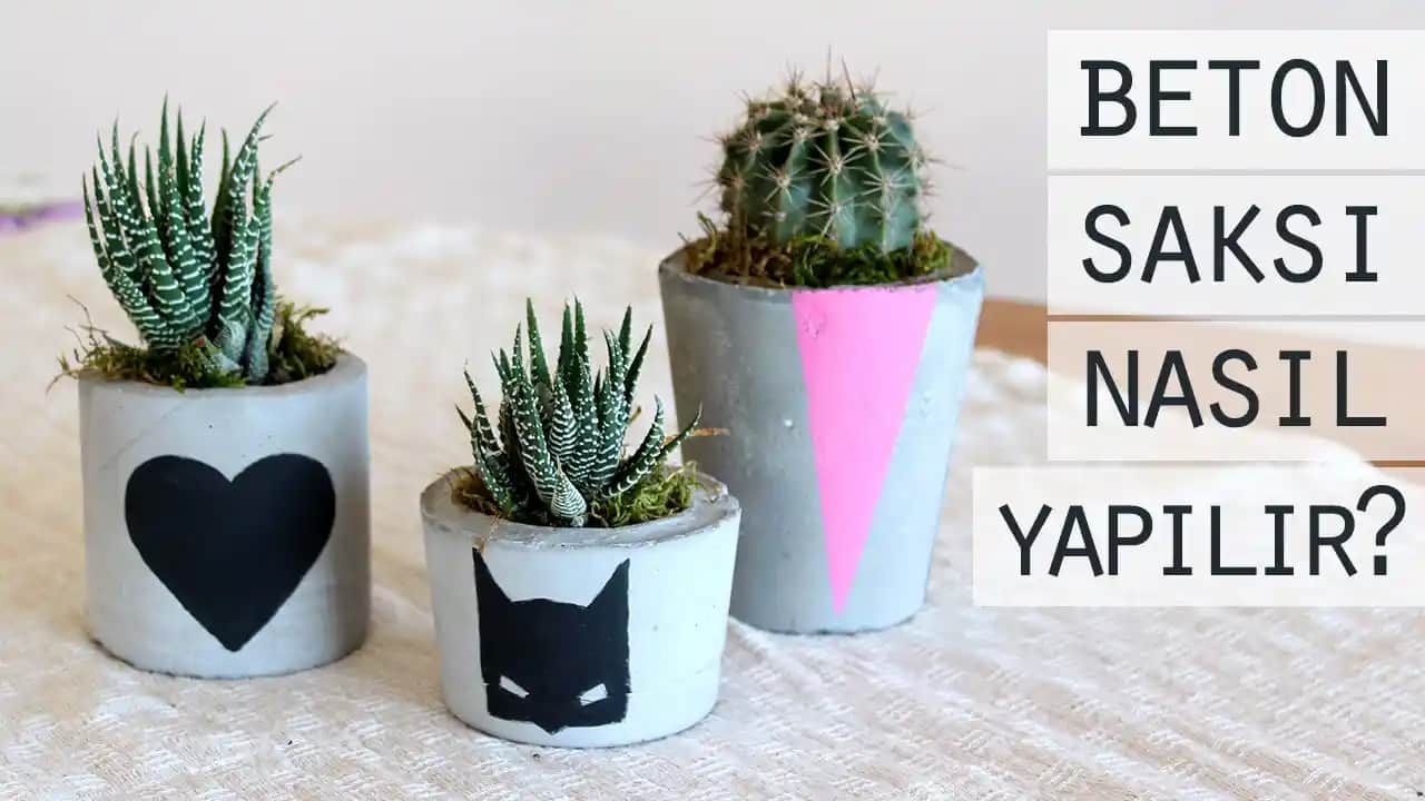 Saksı Yapımı ve Dekorasyonda Yaratıcı Fikirler: Malzeme Seçimi ve Yapım Aşamaları