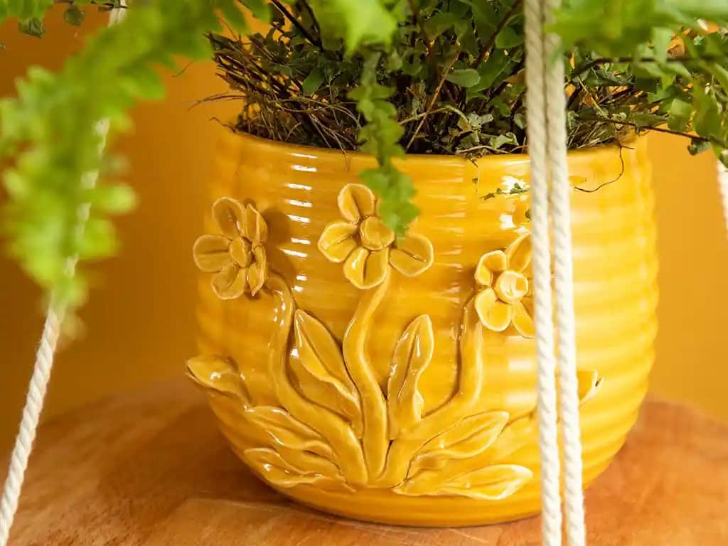 Sarı Saksı Dekorasyonunda Canlılık ve Şıklık İçin En İyi Seçenekler ve İpuçları