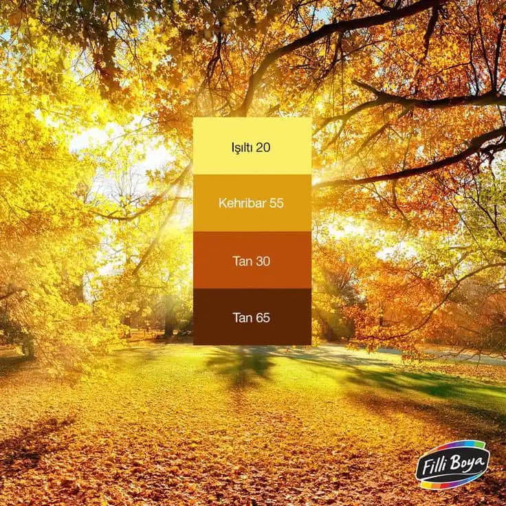 Sarı ve Kahverenginin Dekorasyonda Kullanımı ve Uygulama İpuçları