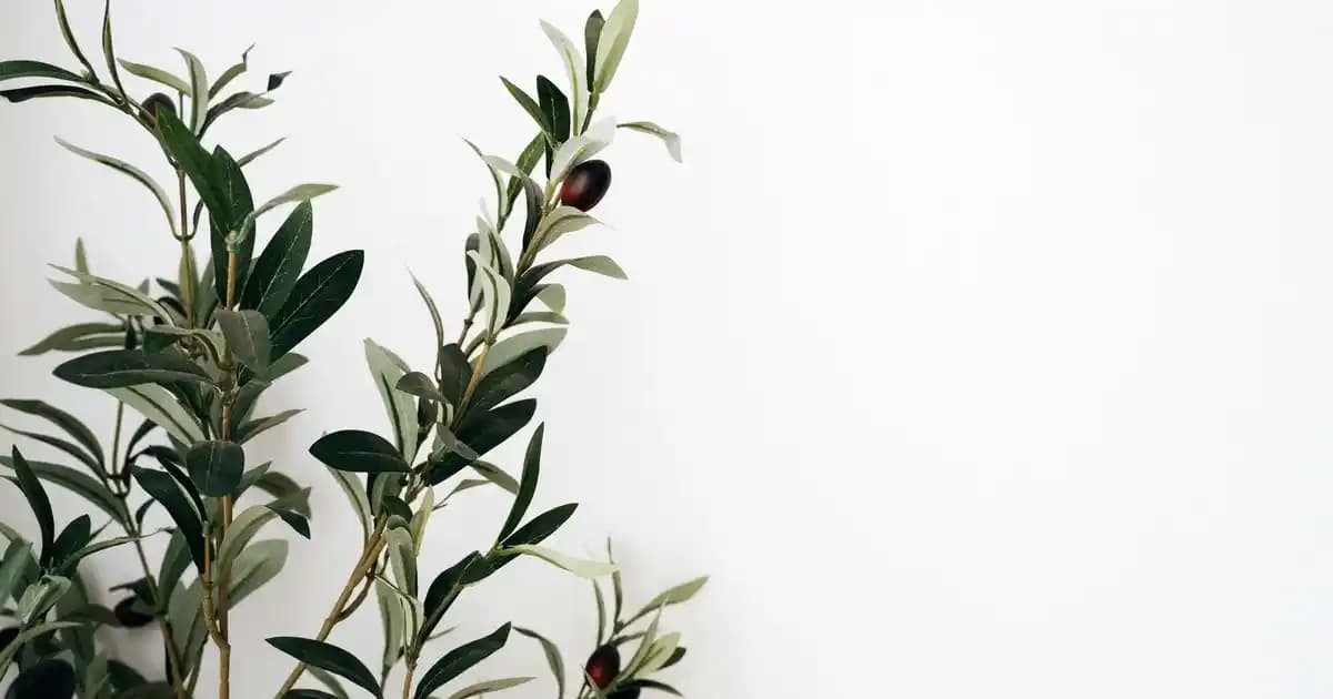 Şerbet Takımı Seçimi ve Dekorasyonda Zarif Uyum Sağlama Rehberi