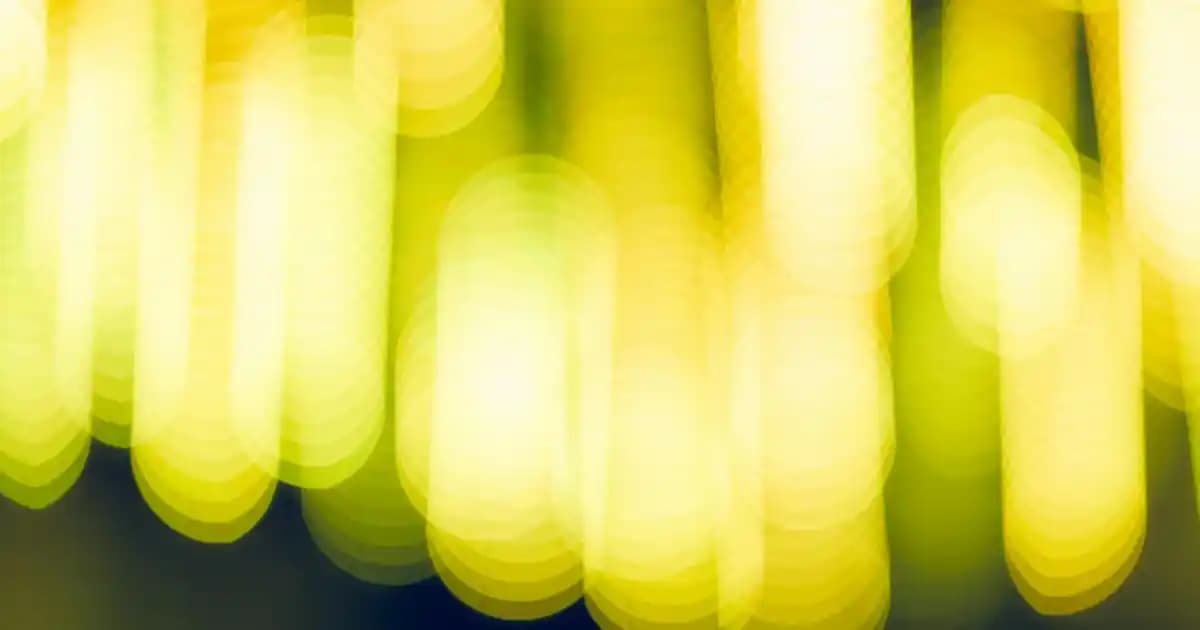 Sıvı Geçirmez Bebek Bezi ve Dekorasyon Alanında Yenilikler ve Pratik Çözümler