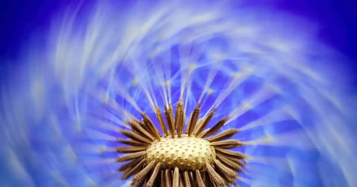 Siyah Mermer Tepsi: Estetik ve Fonksiyonellik Sunan Dekorasyon Aksesuarı