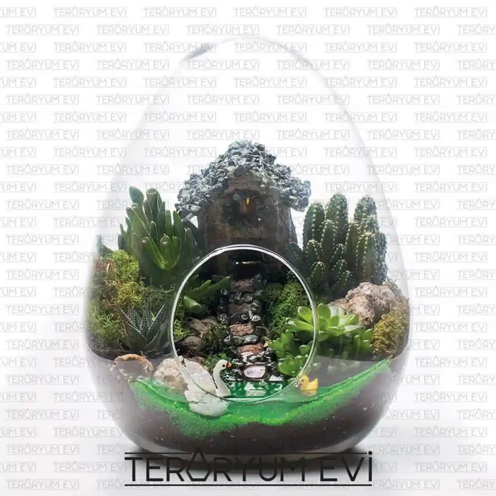 Teraryum Ev Dekorasyonunda Doğanın Sıcaklığını Yansıtan Modern ve Pratik Çözümler