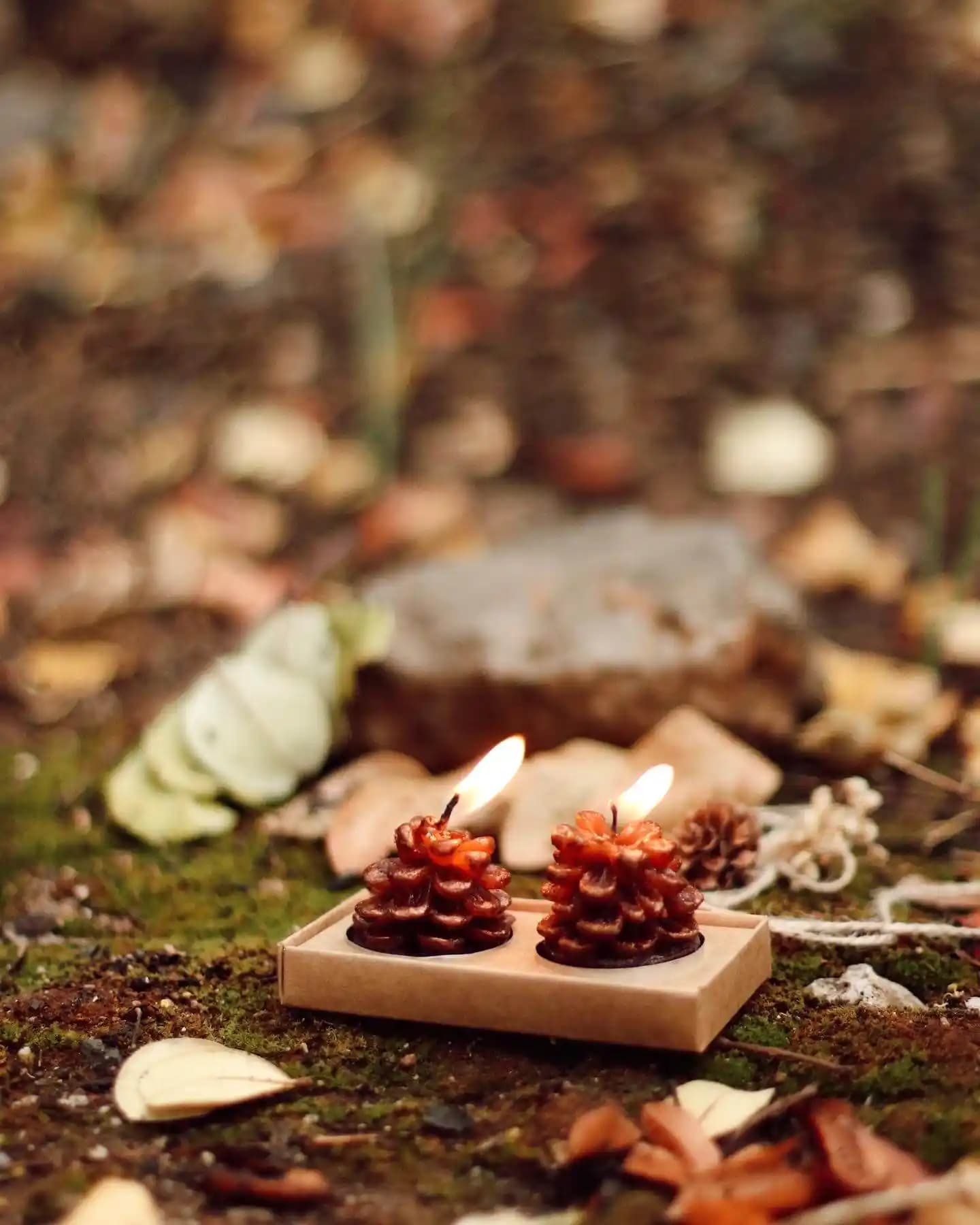 Tilayt Mum ile Modern ve Şık Dekorasyonlar Yaratmanın Yolları ve İpuçları