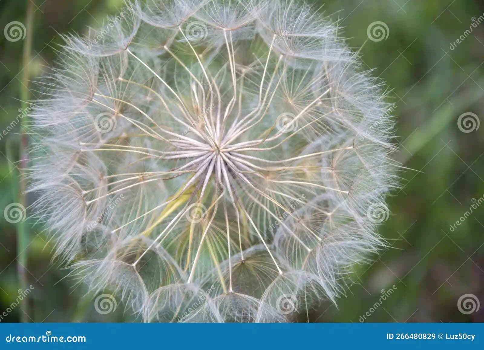 Tufting Teknikleri ve Dekorasyonda Kullanımı: Modern ve Klasik Tarzda Şıklık Sağlayan Detaylar