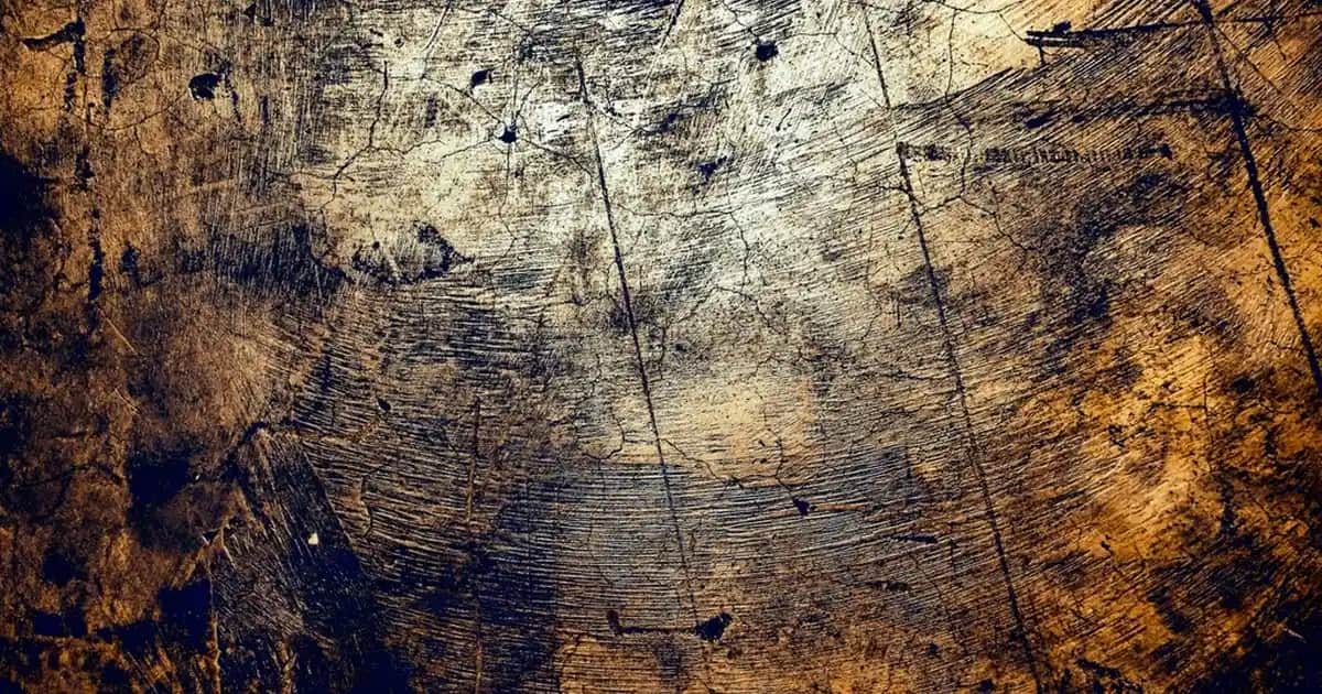 Turuncu Berjerlerle Evinize Canlılık Katmanın Yolları ve Dekorasyon İpuçları