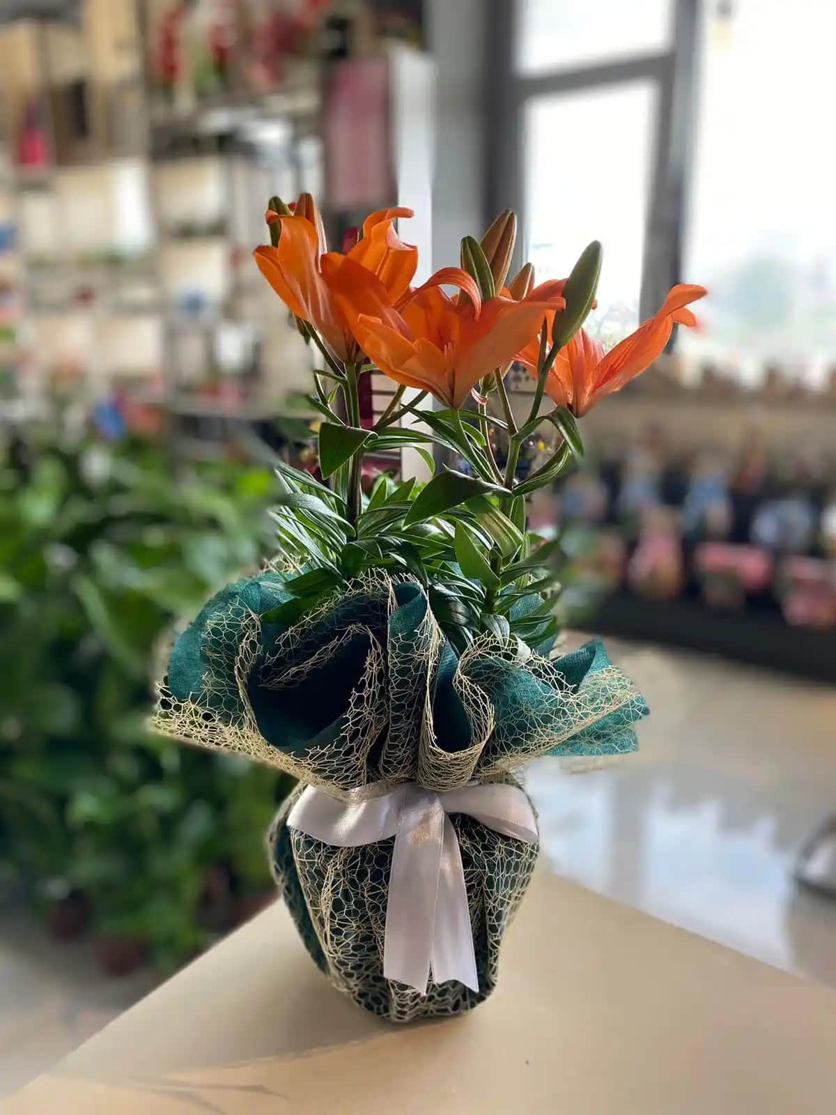 Turuncu Lilyum Çiçeği ile Mekânda Canlılık ve Zarafet Yaratma Rehberi