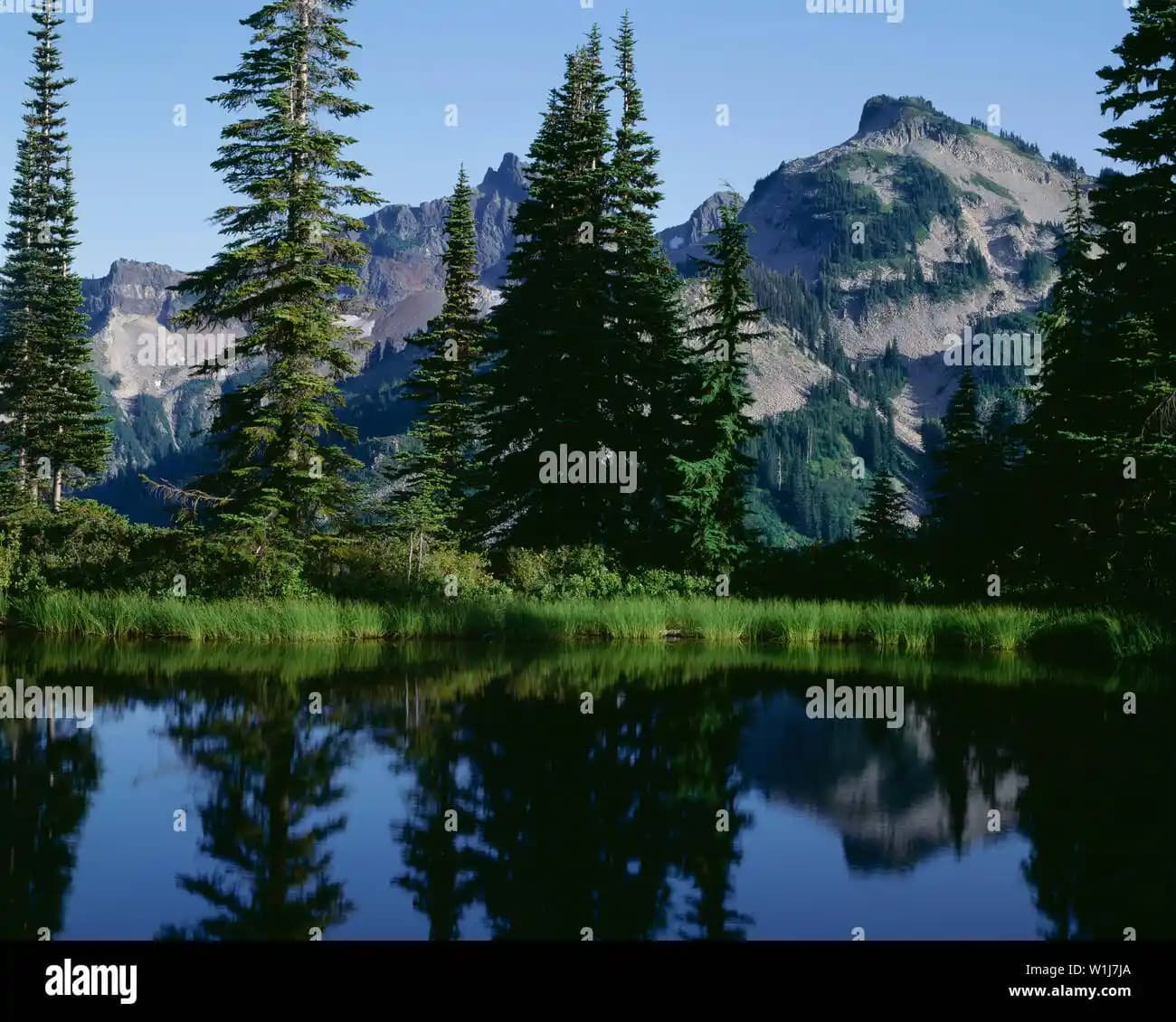 Unicorn Pike Dekorasyon Trendleri ve Çocuk Odası İçin En İyi Seçenekler