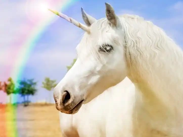 Unicorn Temasıyla Dekorasyon Trendleri ve Farklı Mekanlara Masalsı Dokunuşlar