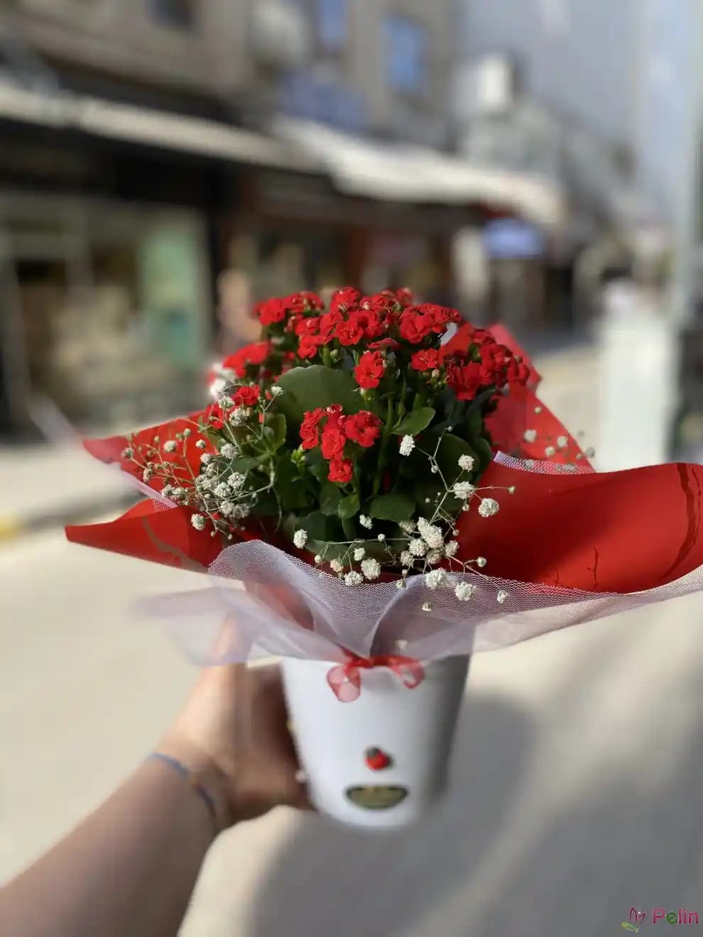 Uşak Çiçeğinin Dekorasyonda Kullanımı ve Bakım İpuçları