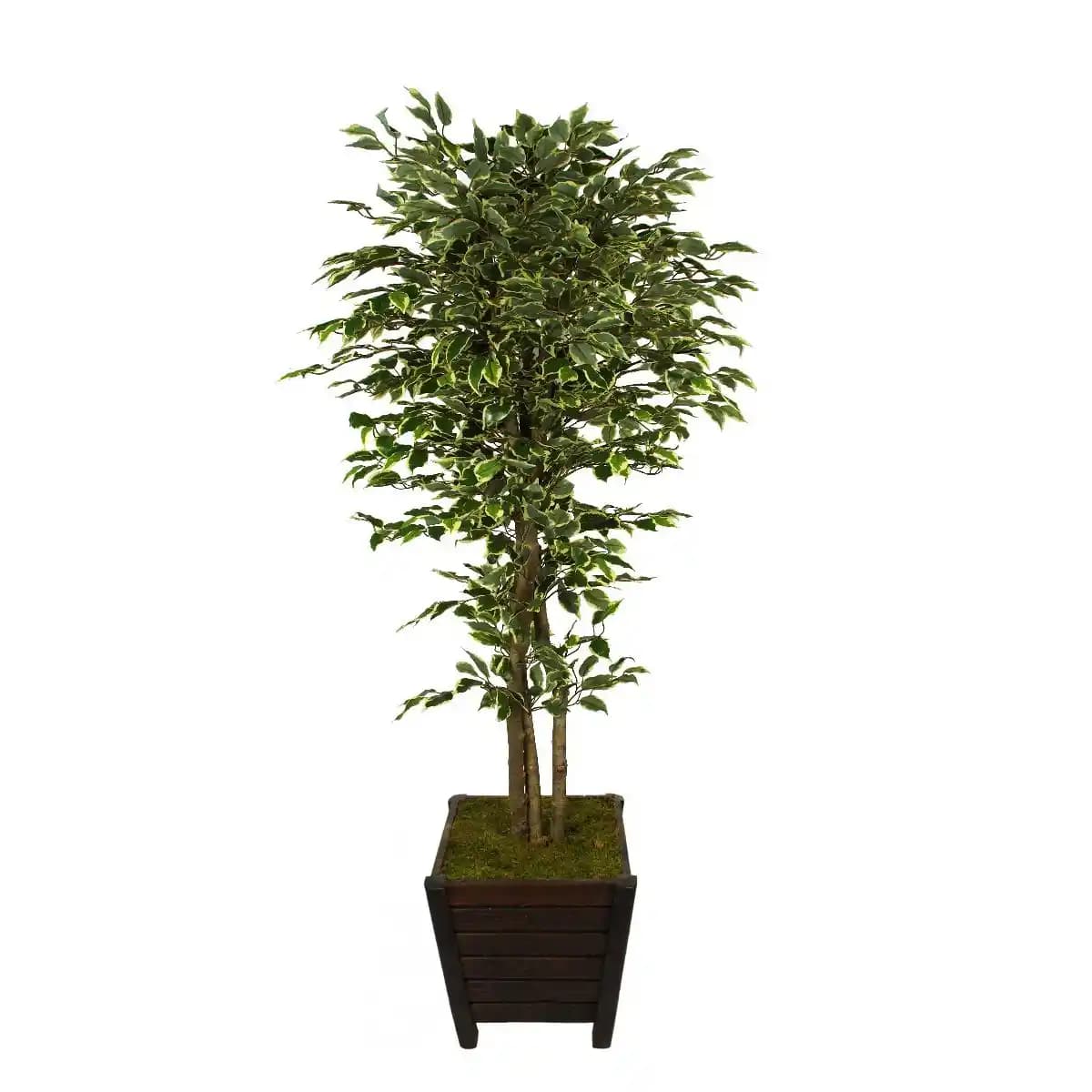 Yapay Ağaç ile Dekorasyonun Yeni Yüzü: Doğallık ve Estetiği Bir Arada Yakalayın