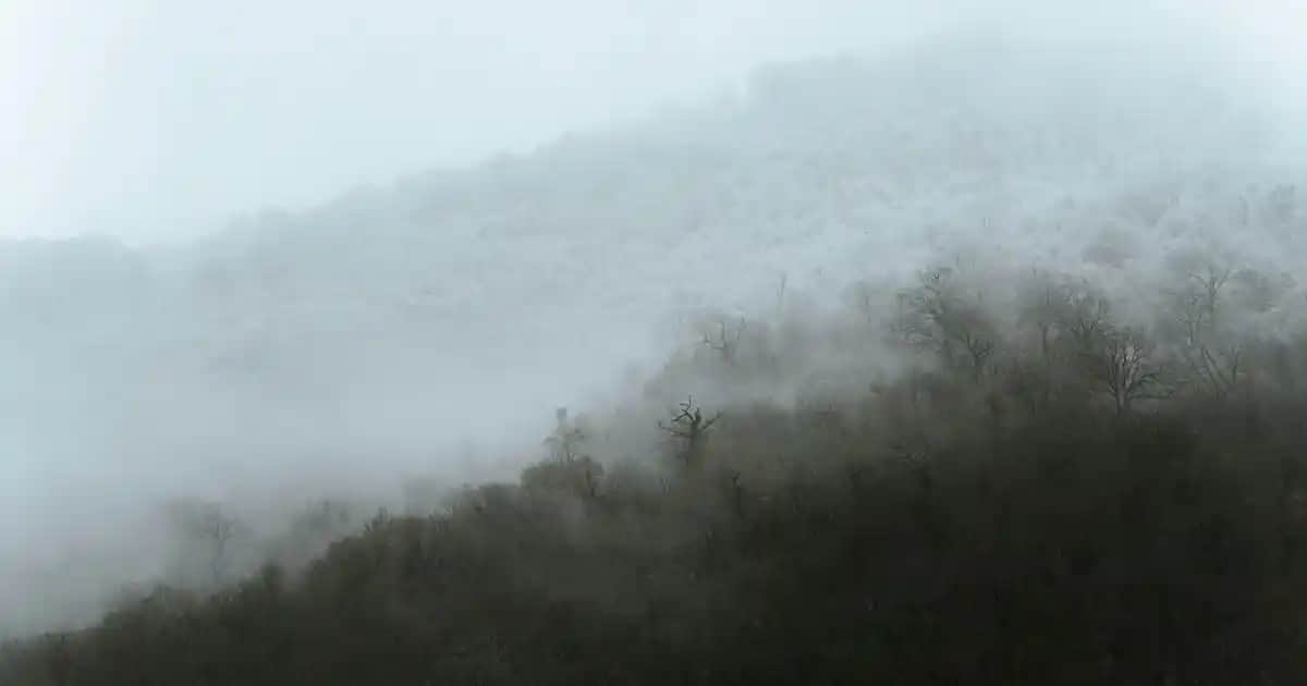 Yassı Mum Söndürücü: Dekorasyonda Estetik ve İşlevsellik Bir Arada