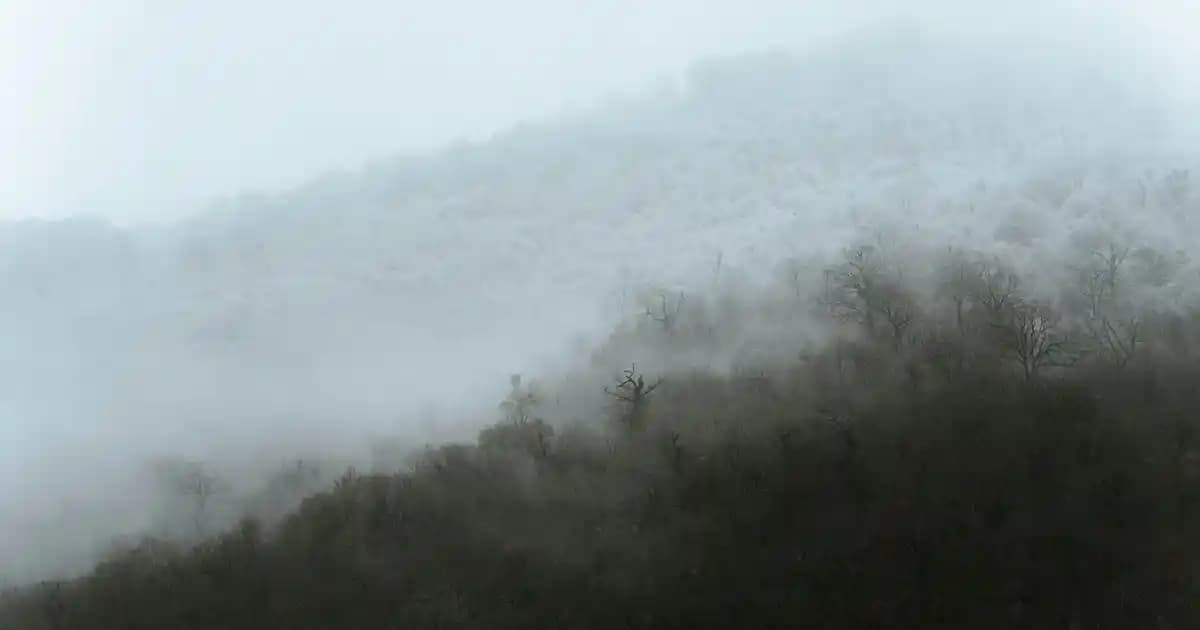 Yassı Mum Söndürücü: Dekorasyonda Estetik ve İşlevsellik Bir Arada