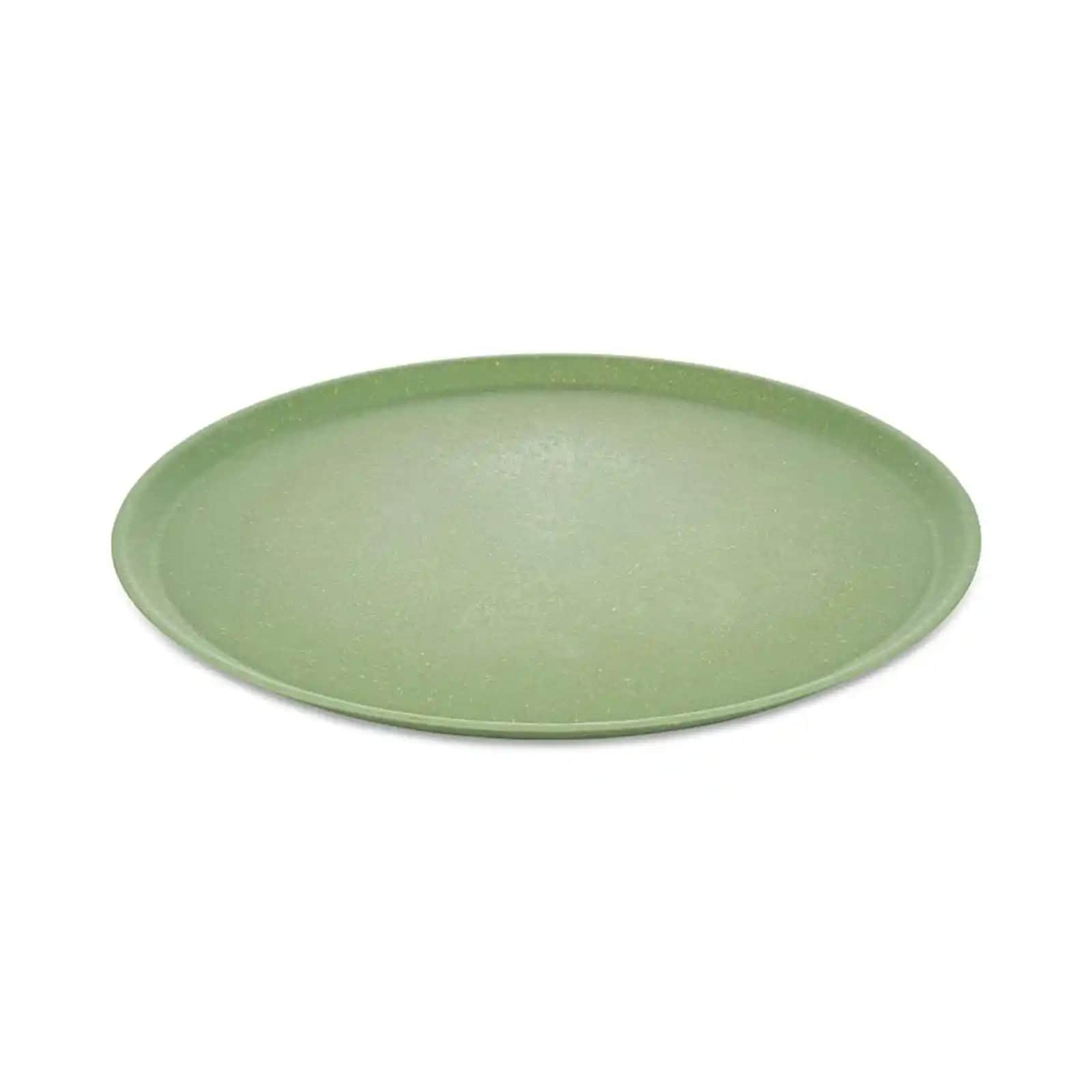 Yeşil Tabakların Dekorasyonda Kullanımı ve Estetik Farklılıklar