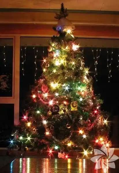 Yılbaşı Ağacı Seçimi ve Dekorasyon İpuçlarıyla Yeni Yıla Hazırlık