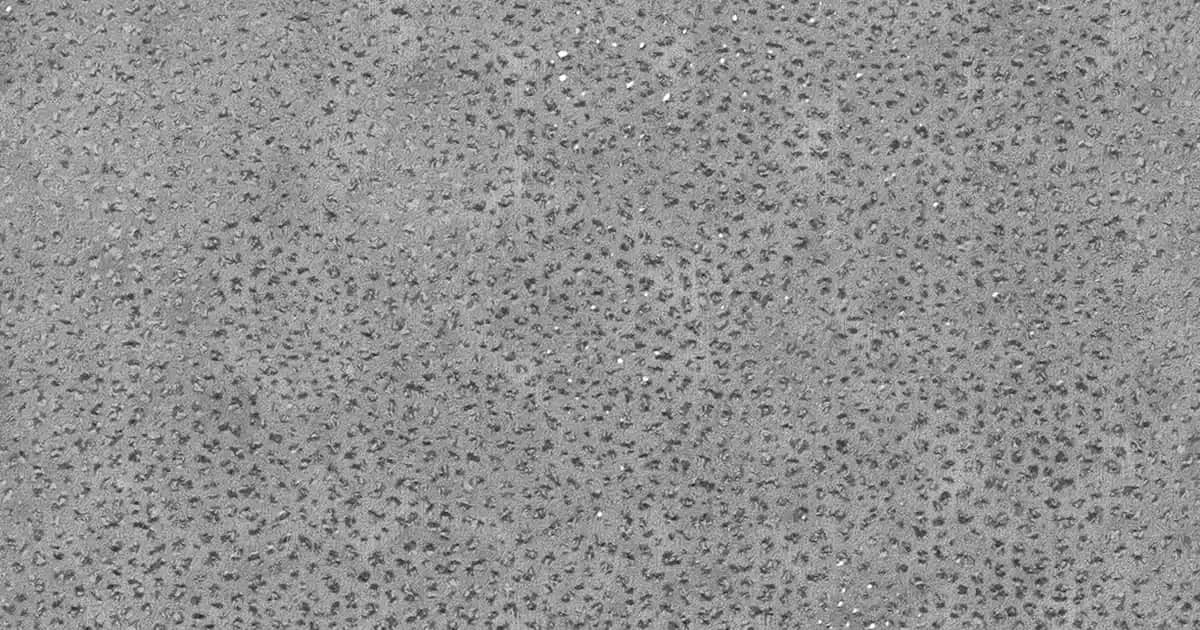 Yılbaşı Çiçeği Dekorasyonu: Göz Alıcı ve Anlamlı Yılbaşı Süsleri İçin İpuçları