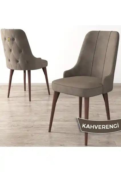 Canisa Concept Enoa ve Flex Serisi Sandalyelerin Karşılaştırması ve Özellikleri