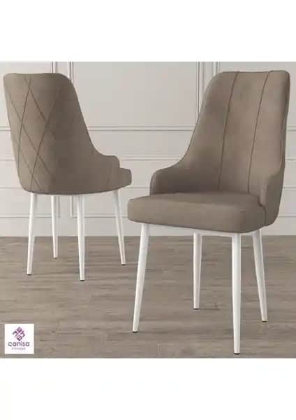 Canisa Concept Trex Serisi Sandalyelerin Karşılaştırması Modern ve Dayanıklı Tasarım