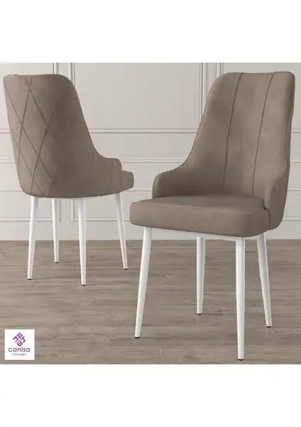 Canisa Concept Trex Serisi Sandalyelerin Karşılaştırması Modern ve Dayanıklı Tasarım 1