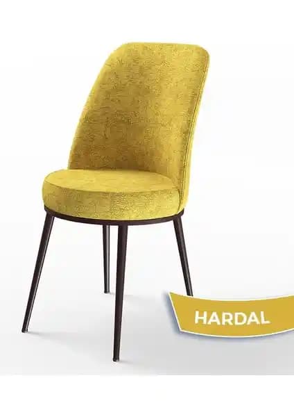Canisa Dexa Serisi Mutfak Sandalyeleri Karşılaştırması Kahverengi ve Siyah Modeller